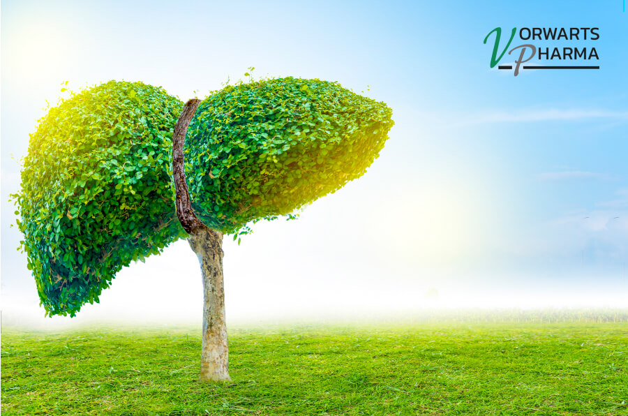 Co obciąża wątrobę, nawet jeśli prowadzisz zdrowy styl życia